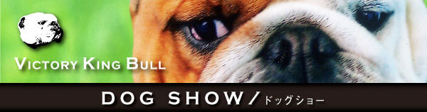 DOGSHOW/ドッグショー