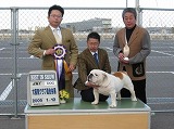 〔写真〕ドッグショー出場の様子