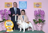 〔写真〕ドッグショー出場の様子