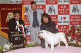 〔写真〕ドッグショー出場の様子