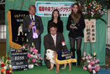 〔写真〕ドッグショー出場の様子