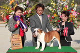 〔写真〕ドッグショー出場の様子
