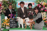 〔写真〕ドッグショー出場の様子