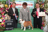〔写真〕ドッグショー出場の様子