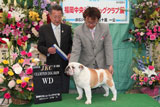 〔写真〕ドッグショー出場の様子